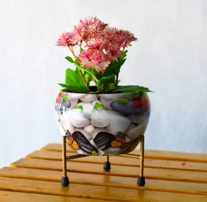 Crest Flower Pot for indoor and outdoor Plant Container