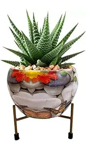 Crest Flower Pot for indoor and outdoor Plant Container